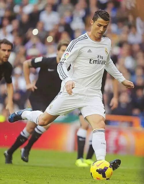 包括体育基 包括体育基